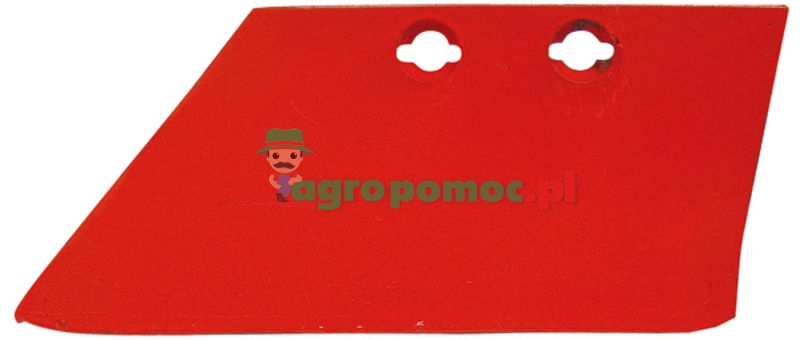 Skimmer share | zdjęcie nr 1